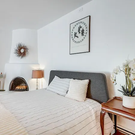 Cozy With Courtyard And Fireplace